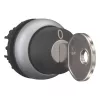 Eaton M22-WRS-MS10 sleutelschakelaar, 2 standen, zwart/titanium, 22,5 mm 111775