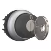 Eaton M22-WRS-MS2 sleutelschakelaar, zwart/titanium 111778