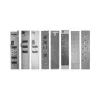 EATON 3-fasen verzamelrailadapter B3.0/3-PKZ0 (232289)