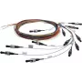 Telegärtner L00819A0067 ST multimode glasvezelverbindingskabel