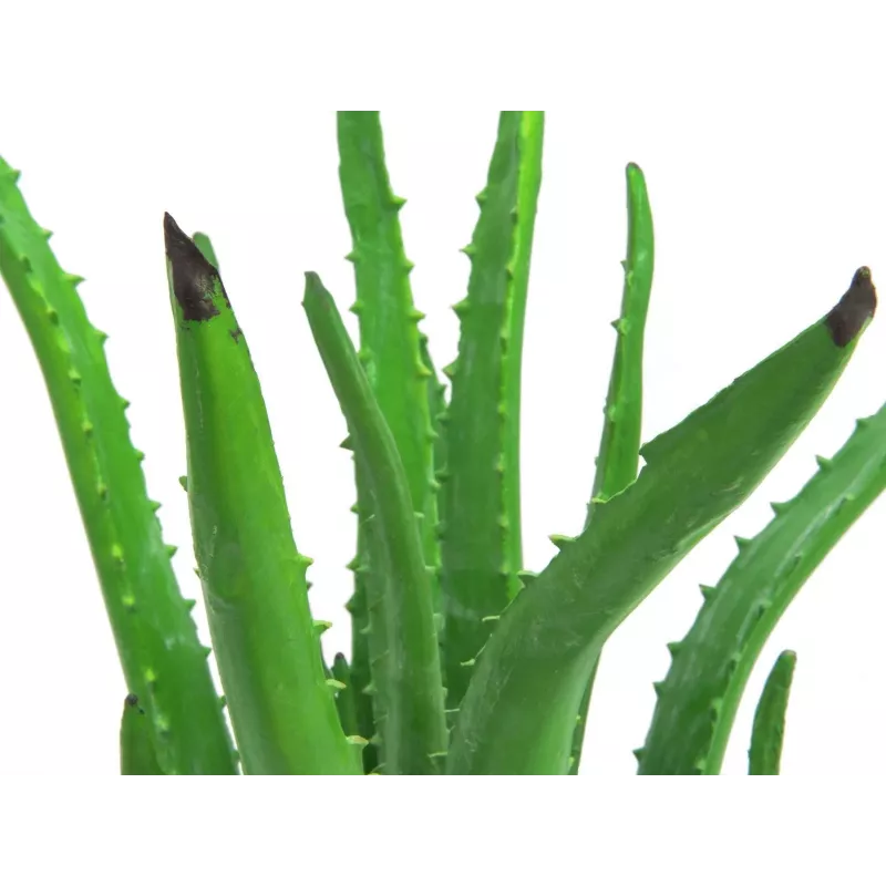 EUROPALMS kunstmatige aloë vera plant in zwarte pot, 63cm 82809112