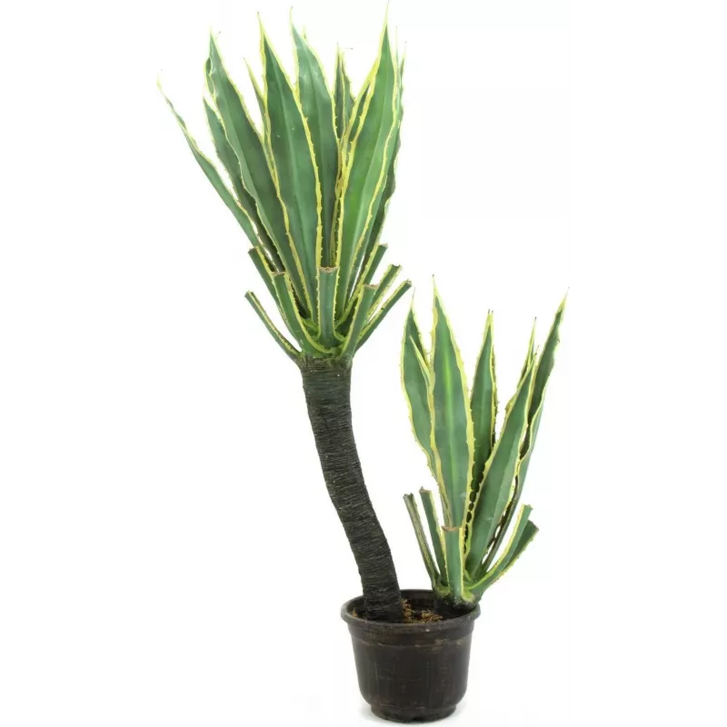EUROPALMS orchideecactus kunstplant, 160cm 82809035