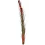 EUROPALMS kunstmatig rietgras met aren, lichtbruin, 152cm 82505856