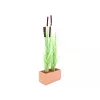 EUROPALMS kunstmatig rietgras met aren, lichtgroen, 152 cm 82505855