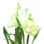 EUROPALMS aronskelk, 3-set met LED's, wit, 85 cm (83330302)