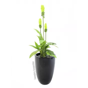Europalms LEICHTSIN CUP-69 plantenbak, zwart, glanzend (83011819)