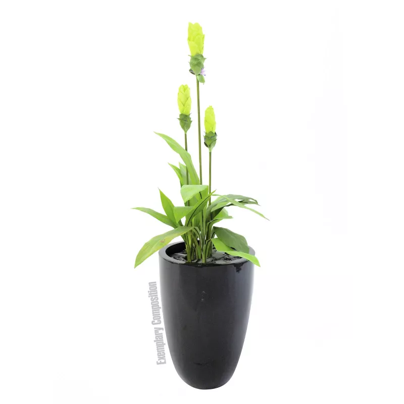 Europalms LEICHTSIN CUP-69 plantenbak, zwart, glanzend (83011819)