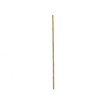 EUROPALMS bamboestok, Ø 3 cm, lengte 200 cm 83313200