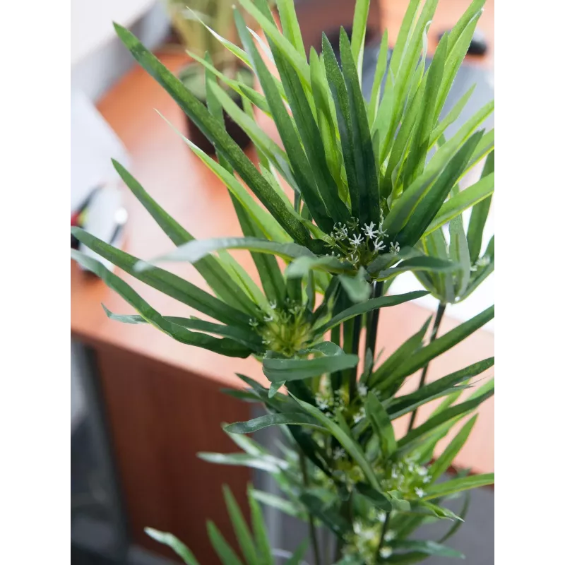 EUROPALMS Kunstmatig cypergras, 76cm, in zwarte pot 82600138