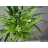 EUROPALMS Kunstmatig cypergras, 76cm, in zwarte pot 82600138