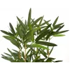 EUROPALMS kunstmatige bamboe in decoratieve schaal, 150cm 82509262