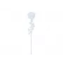 EUROPALMS Crystal Rose kunstbloem, transparant, 81cm, 12-pack voordeelverpakking 82600210