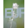 EUROPALMS Crystal Rose kunstbloem, transparant, 81cm, 12-pack voordeelverpakking 82600210