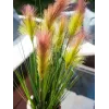 EUROPALMS vedergras, kunstmatig, rosé, 90cm 82505865