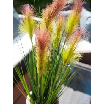 EUROPALMS vedergras, kunstmatig, rosé, 90cm 82505865