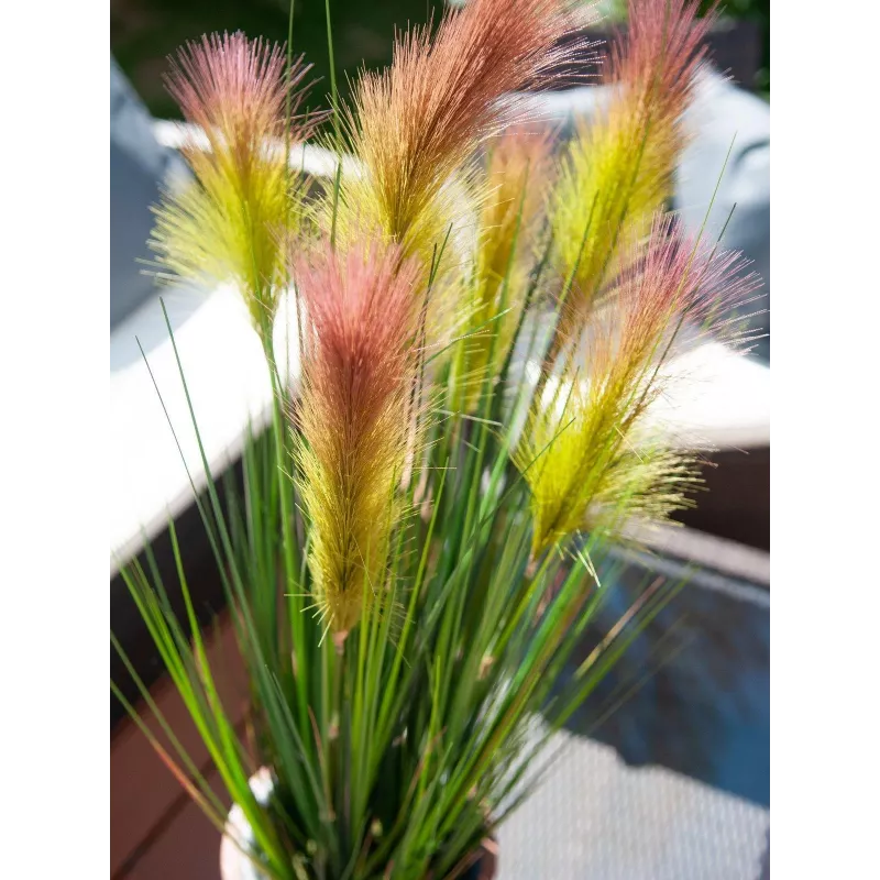 EUROPALMS vedergras, kunstmatig, rosé, 90cm 82505865