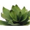 EUROPALMS agave kunstplant, EVA, groen, 35 cm 82530576
