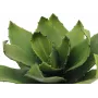 EUROPALMS agave kunstplant, EVA, groen, 35 cm 82530576