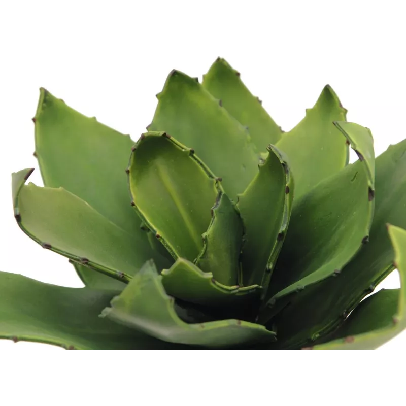EUROPALMS agave kunstplant, EVA, groen, 35 cm 82530576