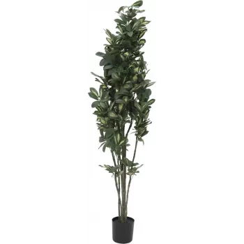 EUROPALMS schefflera kunstplant, 120cm, groen 82600157