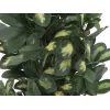 EUROPALMS schefflera kunstplant, 120cm, groen 82600157