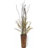 EUROPALMS kunstmatige eucalyptus tak, geelgroen, 110cm 82505622
