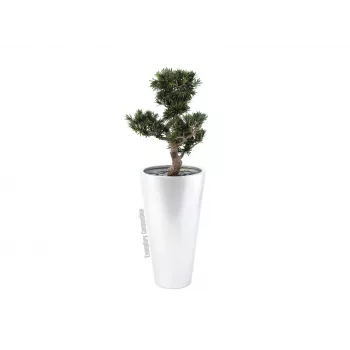 EUROPALMS Leichtsin Elegance-69 zilver glanzend decoratiefiguur 83011856