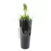 EUROPALMS Leichtsinn Elegance-110 decoratiefiguur, zwart glanzend 83011864