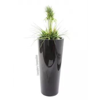 EUROPALMS Leichtsinn Elegance-110 decoratiefiguur, zwart glanzend 83011864