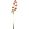 EUROPALMS kunstmatige Cymbidium-tak, crème-roze, 90cm 82530311