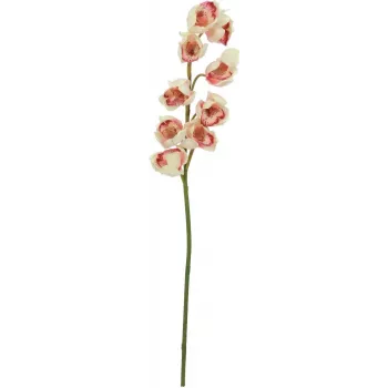 EUROPALMS kunstmatige Cymbidium-tak, crème-roze, 90cm 82530311