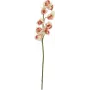 EUROPALMS kunstmatige Cymbidium-tak, crème-roze, 90cm 82530311