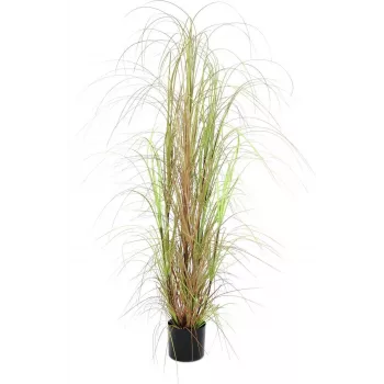 EUROPALMS kunstmatige graspol, 150cm, groen, interieurdecoratie 82600127