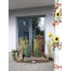 EUROPALMS kunstmatige graspol, 150cm, groen, interieurdecoratie 82600127