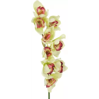 EUROPALMS kunstmatige Cymbidium-orchideetak, groen, 90cm 82530313