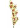 EUROPALMS kunstmatige Cymbidium-orchideetak, groen, 90cm 82530313