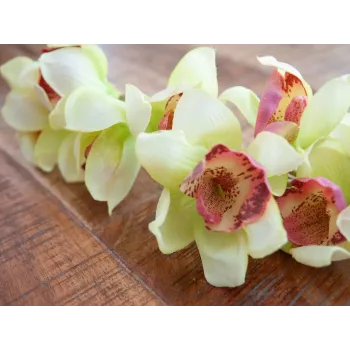 EUROPALMS kunstmatige Cymbidium-orchideetak, groen, 90cm 82530313