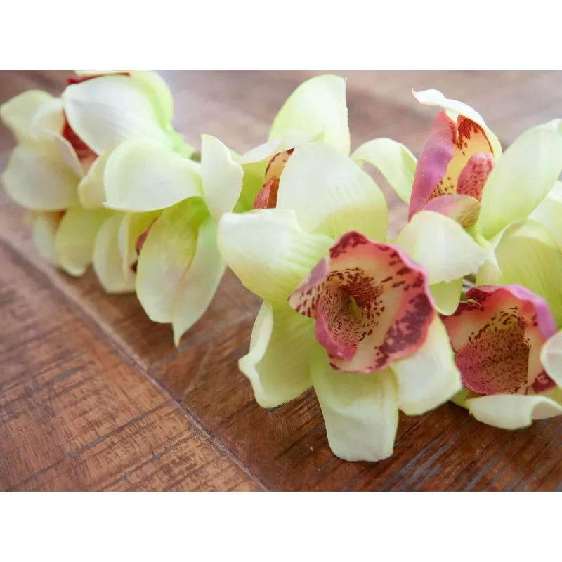 EUROPALMS kunstmatige Cymbidium-orchideetak, groen, 90cm 82530313