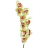 EUROPALMS kunstmatige Cymbidium-orchideetak, groen, 90cm 82530313