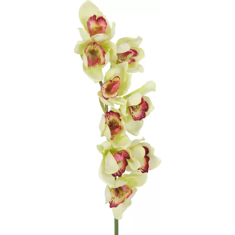 EUROPALMS kunstmatige Cymbidium-orchideetak, groen, 90cm 82530313