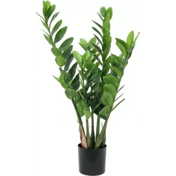 EUROPALMS Zamifolia kunstmatige ZZ-plant, 70 cm, zwarte pot 82600153