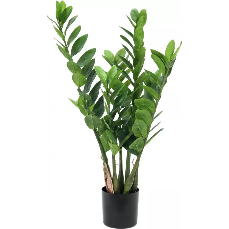 EUROPALMS Zamifolia kunstmatige ZZ-plant, 70 cm, zwarte pot 82600153
