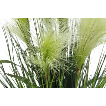EUROPALMS vedergras kunstplant, wit, 60cm 82505864