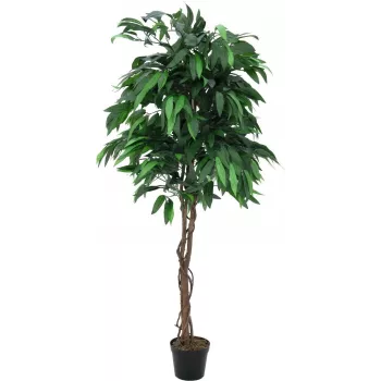 EUROPALMS kunstmatige mango-oerwoudboom, 180 cm 82506726