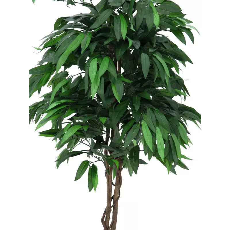 EUROPALMS kunstmatige mango-jungleboom, 180 cm 82506726