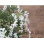 EUROPALMS kunstmatige goudenregenboom, witte bloemen, 180cm 82507106