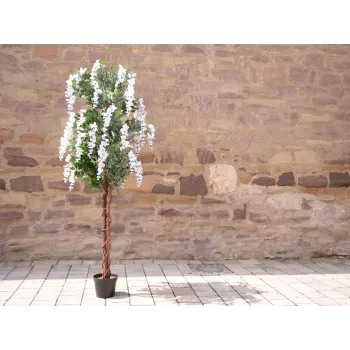 EUROPALMS kunstmatige goudenregenboom, witte bloemen, 180cm 82507106