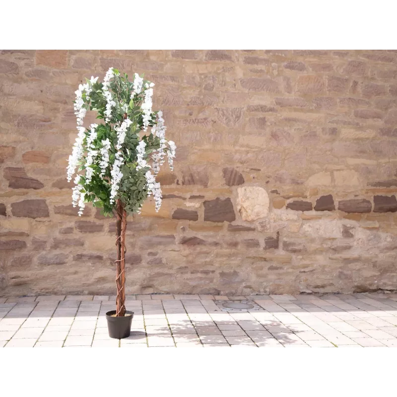 EUROPALMS kunstmatige goudenregenboom, witte bloemen, 180cm 82507106