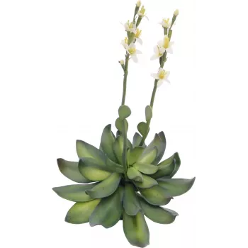 EUROPALMS Stone Rose (EVA) kunstplant, geel, 32cm 82530573