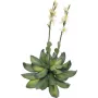 EUROPALMS Stone Rose (EVA) kunstplant, geel, 32cm 82530573